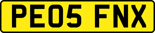 PE05FNX