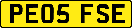 PE05FSE