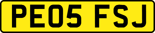 PE05FSJ