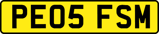 PE05FSM