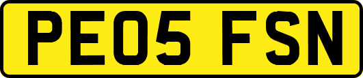 PE05FSN
