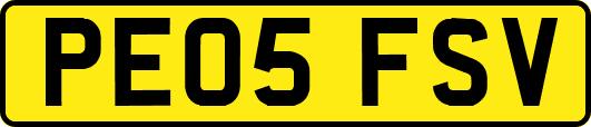 PE05FSV