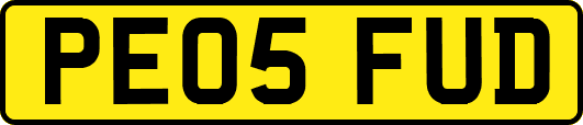 PE05FUD