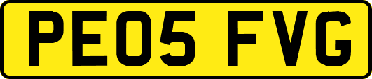 PE05FVG