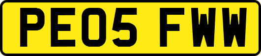 PE05FWW