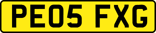 PE05FXG