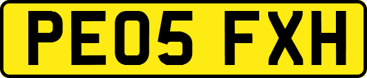 PE05FXH