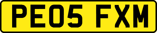 PE05FXM