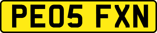 PE05FXN