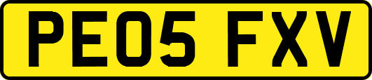 PE05FXV