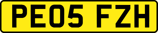 PE05FZH