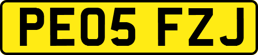 PE05FZJ