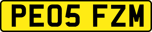 PE05FZM
