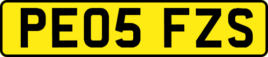 PE05FZS