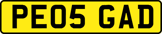 PE05GAD