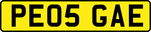 PE05GAE