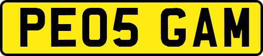 PE05GAM