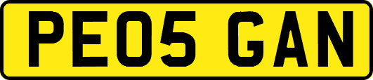 PE05GAN
