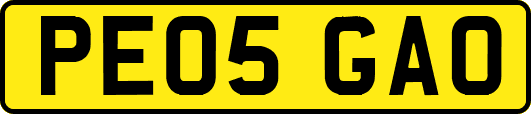 PE05GAO