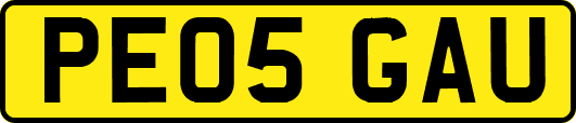 PE05GAU