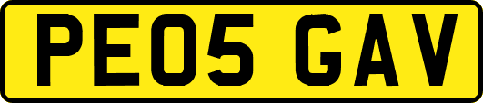 PE05GAV