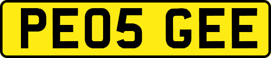 PE05GEE