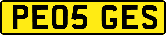 PE05GES