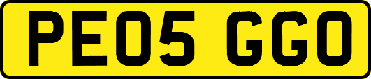 PE05GGO