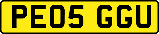 PE05GGU