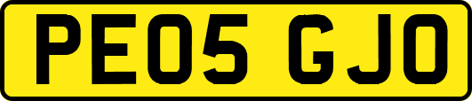 PE05GJO