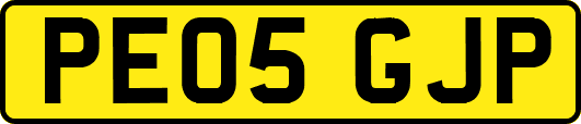 PE05GJP
