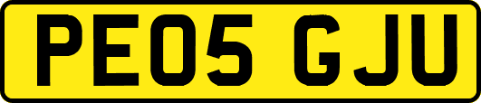 PE05GJU