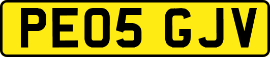 PE05GJV