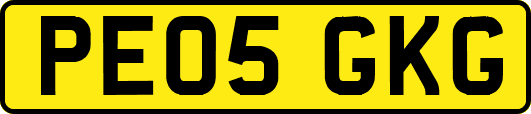 PE05GKG