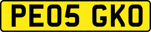 PE05GKO