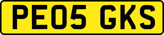 PE05GKS