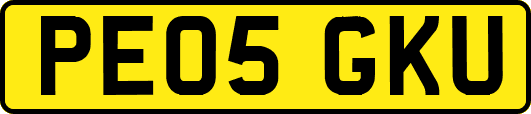 PE05GKU