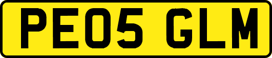 PE05GLM