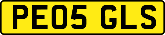 PE05GLS