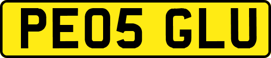 PE05GLU