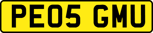 PE05GMU