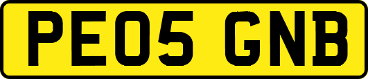 PE05GNB