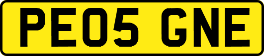 PE05GNE
