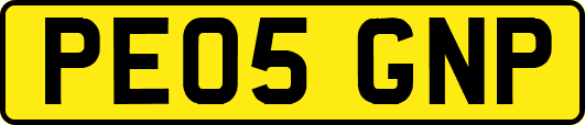PE05GNP