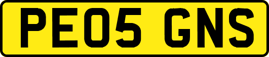 PE05GNS