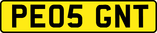 PE05GNT