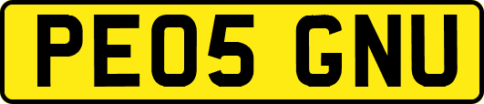 PE05GNU