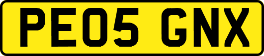 PE05GNX