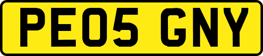 PE05GNY