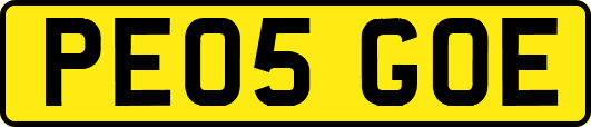 PE05GOE